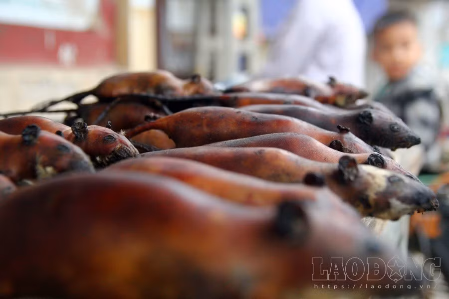 Từ mờ mờ sáng đến chạng vạng tối trên những cánh đồng mới gặt, các "thợ săn" lại cầm quốc, thuổng, bao tải đi săn chuột rất rôm rả. Sau khi bắt, chuột được mang về trần bởi nước nóng, cạo sạch lông, thui với rơm khô, rồi mang ra chợ làng bán.