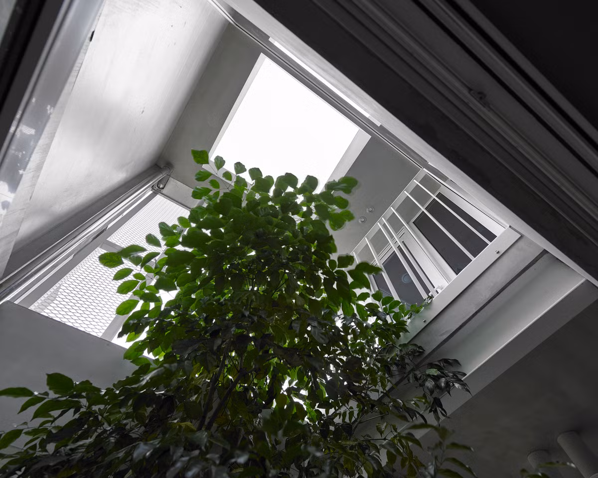 Diện tích dù chỉ 40m2 nhưng gia chủ vẫn dành không gian cây xanh.