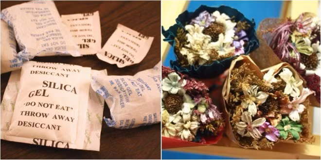 Bạn cho hoa và những gói hút ẩm vào túi nhựa để làm chậm quá trình phân huỷ hoa và giữ cho hoa được lâu hơn.