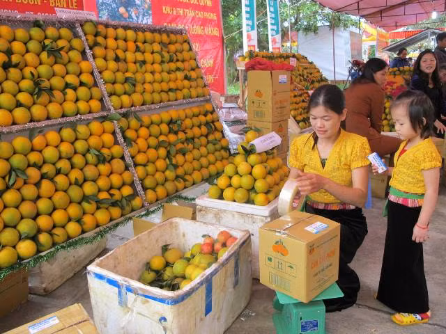 Bắt đầu từ giữa tháng 9, đến thị trấn Cao Phong đâu đâu cũng bắt gặp những sạp bán cam tràn lan, người mua kẻ bán tấp nập. Ảnh: Báo thanh tra.