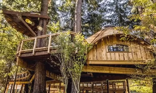 Cuộc sống bận rộn khiến con người càng muốn gần gũi với thiên nhiên ngay trong không gian nhà ở và văn phòng làm việc.