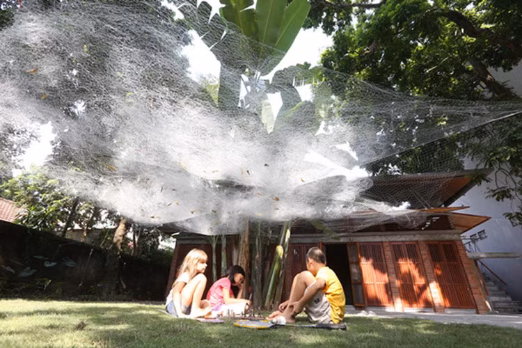 Vườn cây bao quanh với bãi cỏ là không gian vui chơi của lũ trẻ. Ảnh: V- Architecture.