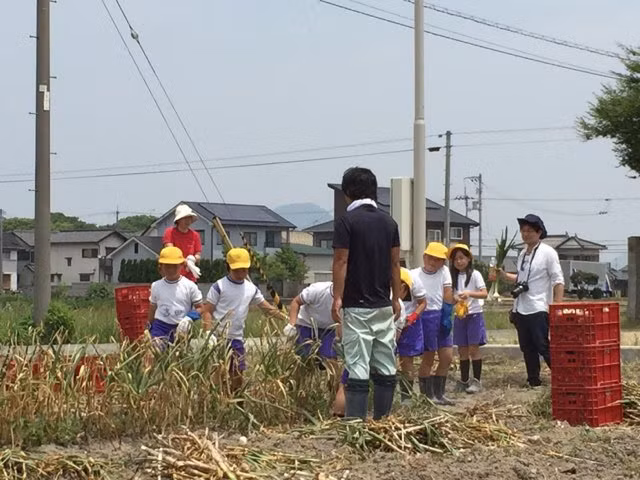 Thân cây cao, có hoa và lá rộng. Ảnh: Nemukobo.