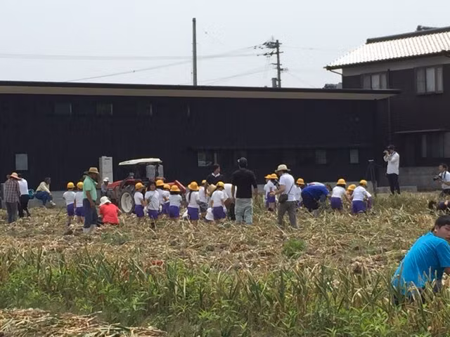 Tỏi voi có mùi thơm dịu hơn so với nhiều giống tỏi khác. Ảnh: Nemukobo.