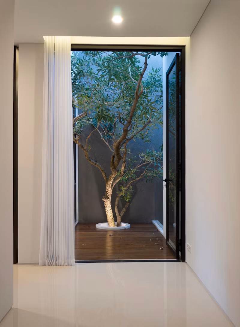 Cây xanh xuyên qua sàn nhà lồng ghép khéo léo với ánh sáng.