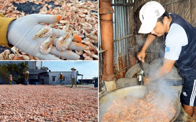 Để cho ra được những con tôm khô có vị vừa ăn mà vẫn giữ được mùi thơm, người luộc phải canh lửa cháy đều, nêm muối vừa tay và chọn đúng thời điểm vớt tôm. Ảnh: Vanhoamientay.