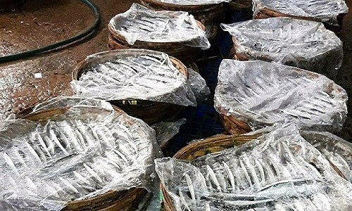 Cơ quan chức năng thu giữ 3 tạ cá hấp thành phẩm chuẩn bị mang đi tiêu thụ tại cơ sở của Hiếu.