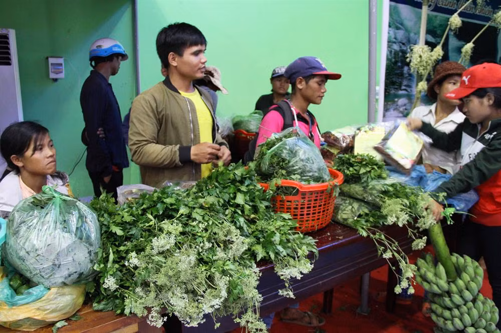 Phiên chợ sâm núi Ngọc Linh lần thứ nhất tại Quảng Nam kéo dài từ ngày 1 – 3/10 và sẽ được tổ chức theo định kỳ 3 ngày đầu tiên hằng tháng tại trung tâm huyện miền núi Nam Trà My. Ảnh: Lao động.