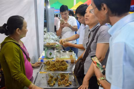 Hơn 20kg sâm Ngọc Linh đã được bán trong ngày khai mạc đầu tiên. Ảnh: Nông nghiệp.