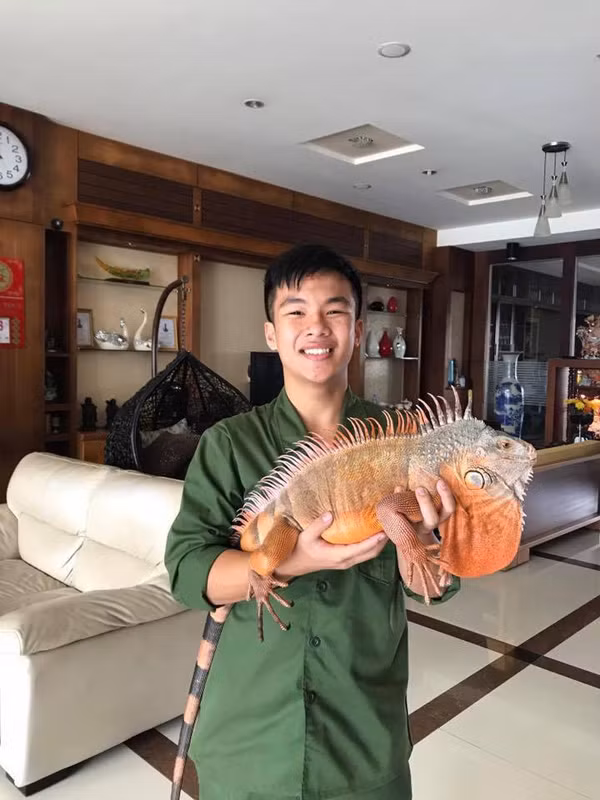 Nhật Huy trên tay là loài rồng Nam Mỹ.