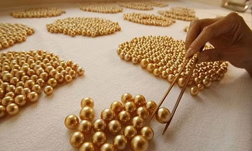 Quá trình nuôi ngọc vô cùng tiêu tốn thời gian. Việc thay đổi nhiệt độ nước biển và chất nước sẽ ảnh hưởng tới chất lượng của ngọc. Chu kỳ nuôi mỗi viên ngọc thường kéo dài từ 2 đến 5 năm.