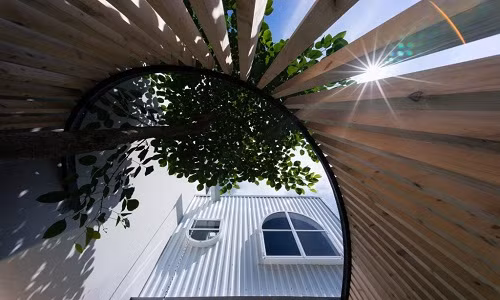 Khoảng sân nhỏ trở nên lung linh hơn dưới ánh nắng mặt trời.