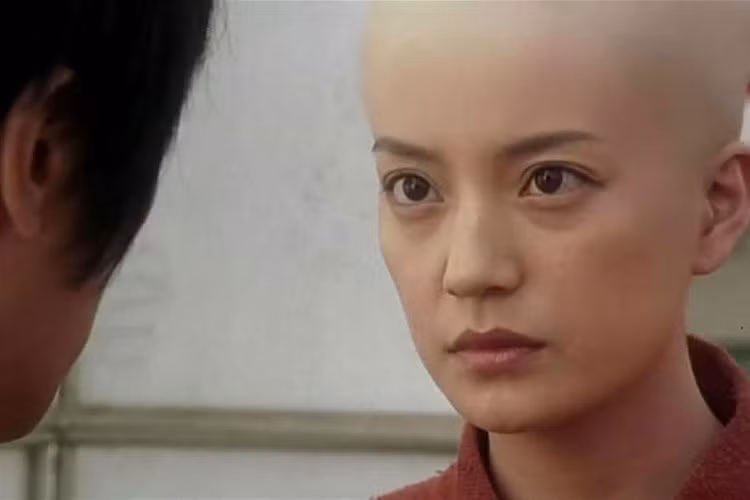 3. Đội bóng Thiếu Lâm (2001): Đây là bộ phim hài thể thao của đạo diễn kiêm diễn viên Châu Tinh Trì, cũng được đánh giá là một trong những tác phẩm xuất sắc của ông. Phim kể về một đội bóng có các cầu thủ là võ sư Thiếu Lâm tự. Trong phim, Triệu Vy thủ vai A Mai, cô gái bán hàng ăn với tuyệt kỹ Thái cực quyền. A Mai đã giúp đỡ đội bóng thiếu lâm giành chiến thắng khi cả đội rơi vào tình trạng chấn thương do bị chơi xấu.