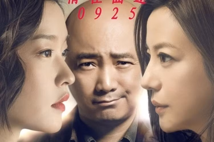 10. Lạc lối ở Hong Kong (2015): Lạc lối ở Hong Kong (Lost in Hong Kong, 2015) là một phim hài có doanh thu khủng của đạo diễn Từ Tranh tiếp nối loạt phim Lost in Journey (2010) và Lost in Thailand (2012). Triệu Vy vào vai người vợ Thái Ba của nhân vật chính Từ Lai (Từ Tranh đóng), cả hai đến Hong Kong du lịch, nhưng người chồng lại có mục đích riêng khiến họ rơi vào nhiều cảnh dở khóc dở cười. Dù bộ phim nổi tiếng và có doanh thu khủng, vai diễn của Triệu Vy lại khá nhẹ ký và bị coi là "bình hoa di động".