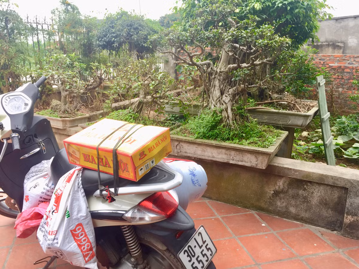 Lần đầu tiên trồng, tranh thủ lúc về quê thăm nhà, Hoàng Lân chở đất từ quê ra.