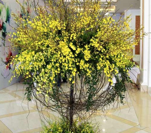 Nhiều gia đình thấy lạ, mua cả bình lên tới cả trăm cành, từ 20- 25 triệu đồng. Ảnh: Infonet.