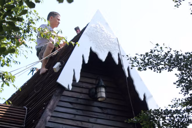 Thay vì mua cây thông Noel, nhiều cơ quan, gia đình chọn cách thuê và trang trí theo ý mốn với giá chỉ bằng một nửa hoặc một phần ba so với giá trị thực của cây. Ảnh: Zing.