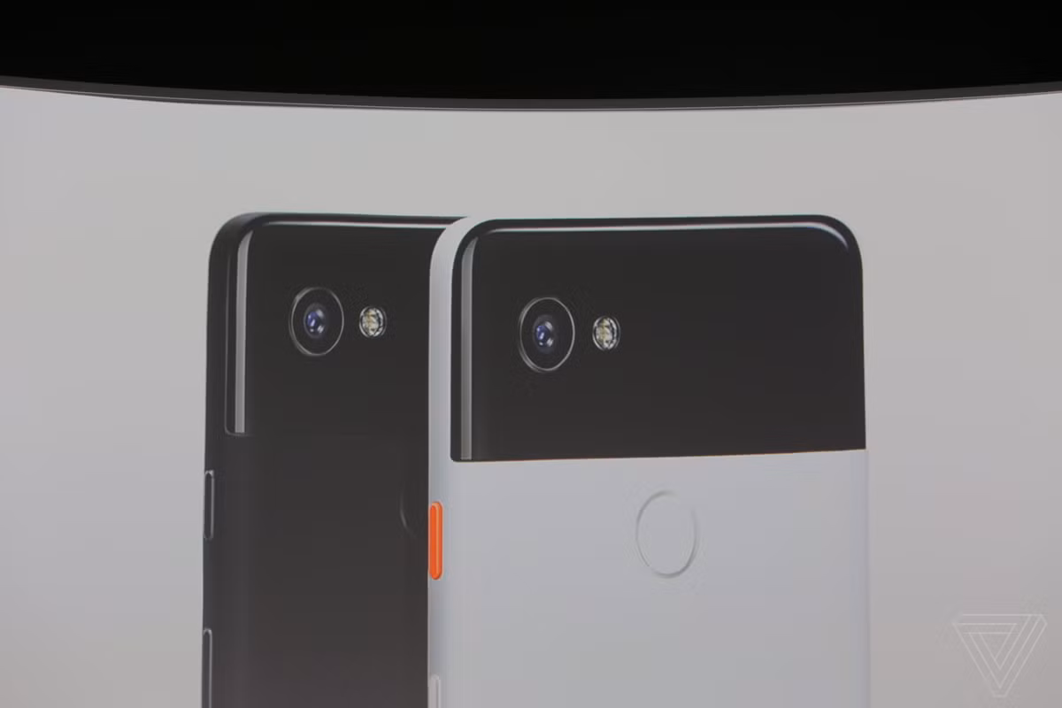 Cả hai phiên bản Pixel 2 đều sử dụng camera đơn nằm phía trước và sau của máy. Ảnh: Theverge.