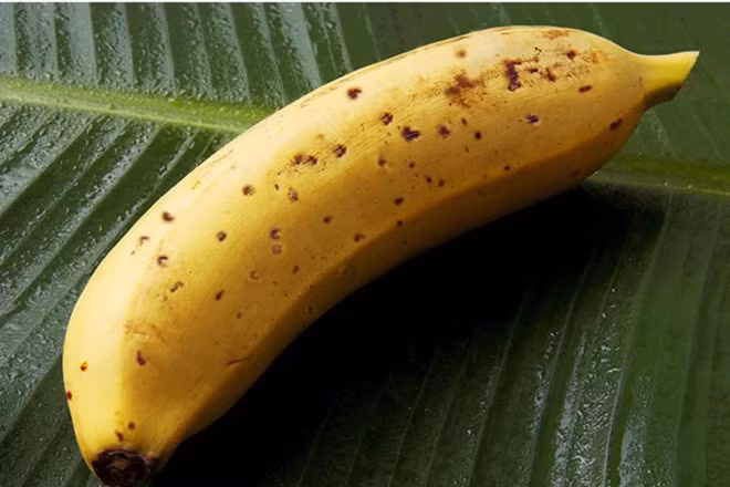 Chuối Mongee có giá 7,67 USD/quả. Ảnh: D&T Farm Inc.