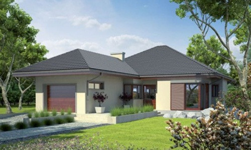 Với những gia đình có điều kiện kinh tế cao thì mẫu nhà 1 tầng kiểu biệt thự là sự lựa chọn lý tưởng. Ảnh: Datbinhduong.