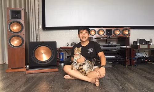 Hiện tại, Nhật Huy sở hữu 5 em Linh miêu.