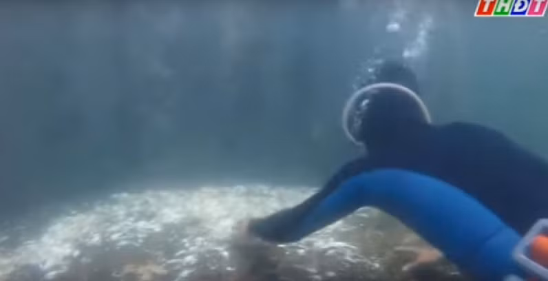 Để hạn chế các yếu tố gây bệnh cho tôm, hàng ngày ngư dân phải lặn xuống các lồng nuôi vệ sinh sạch sẽ. Ảnh: THDT.