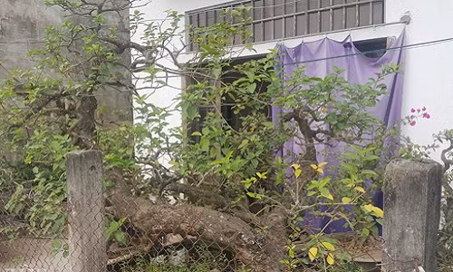 Theo anh Ngô Văn Tuyền ở xóm 9, xã Nghĩa Thành, huyện Nghĩa Hưng (Nam Định), cây kiểng độc đáo trên của anh có thể có gần 100 năm tuổi và cao hơn 2m, có dáng siêu đẹp. "Không giống như các loại cây cảnh khác, vọng cách có cành và thân rất giòn và dễ gẫy nên để làm được ra một cây như hiện tại là vô cùng khó và kì công" - anh Tuyền nói.