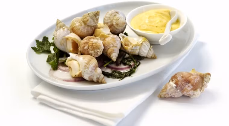 Ốc Bulot Pháp có thể chế biến thành nhiều món ăn như hấp cách thủy, xào me...Ảnh: Lecon.