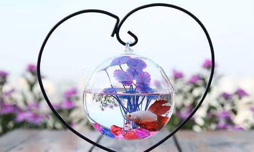 Rất nhiều khung hình lãng mạn cho bạn trai lựa chọn. Giá cho mỗi chiếc bể từ 150.000 đến 250.000 đồng. Ảnh: Facebook.