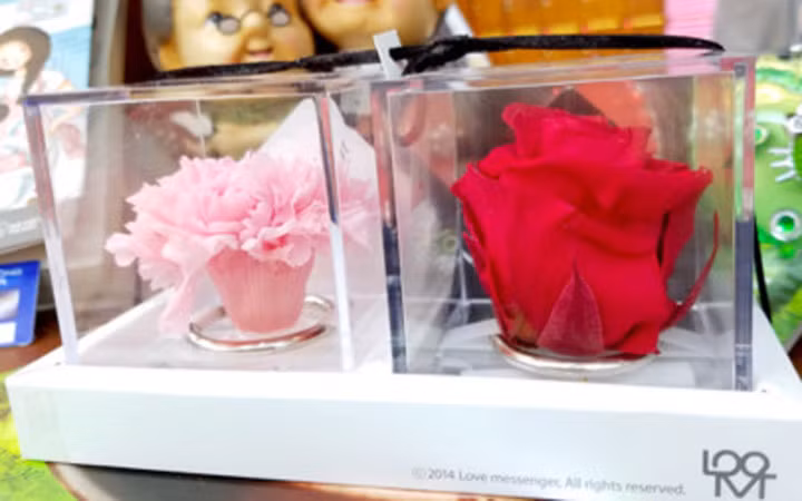 Hoa hồng vĩnh cửu và cẩm chướng vĩnh cửu được đặt trong những hộp nhựa trong suốt. Món quà sang trọng có mức giá khá cao, hơn 600.000 đồng cho một cặp hoa