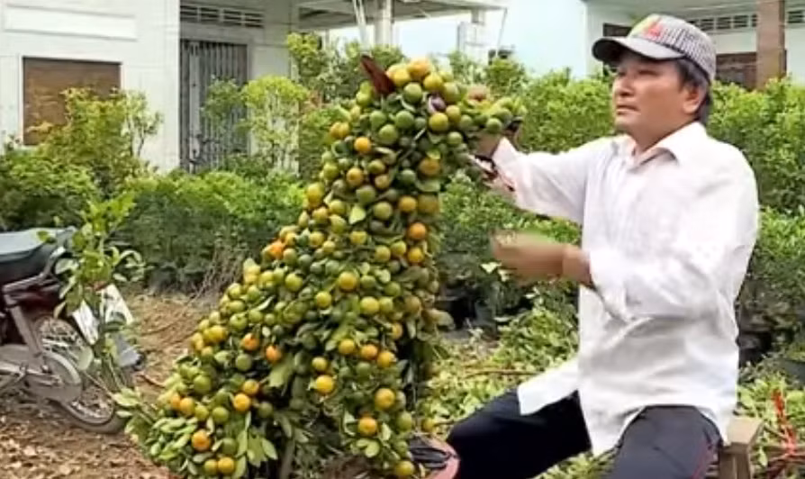 Trong khi đó, người dân làng hoa kiểng Cái Mơn (Bến Tre) cũng tạo ra quất kiểng hình chó lạ mắt. Ảnh: THVL.