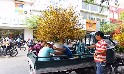 Một bó to như thế này có giá từ 1 - 1,5 triệu đồng. Ảnh: 38 Degree Flowers.