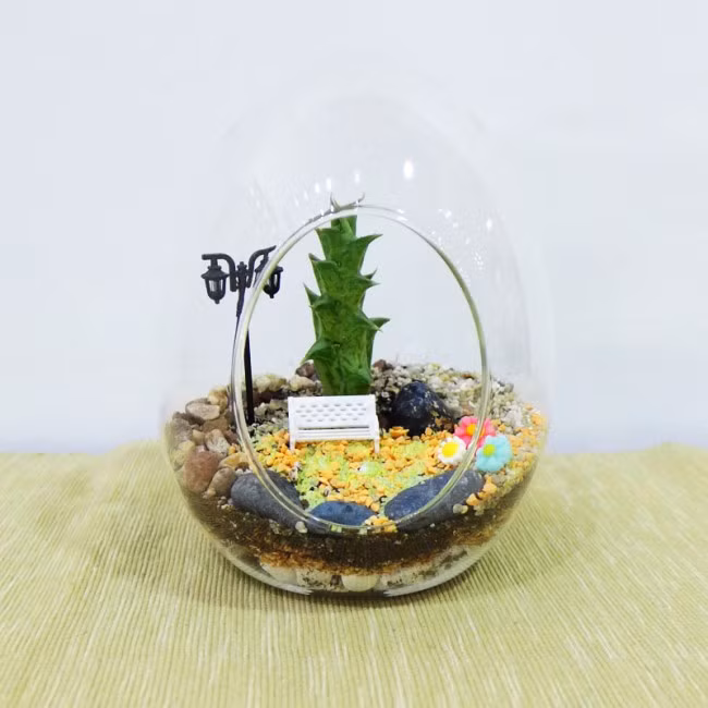Terrariums phù hợp với các loại cây hoa đá, xương rồng. Ảnh: Makeyourown.