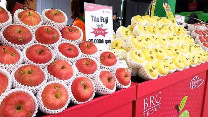 Táo sạch từ vùng Aomori - Nhật Bản vừa chính thức có mặt tại các hệ thống siêu thị và cửa hàng hoa quả nhập khẩu tại Việt Nam. Ảnh: Vneconomy.