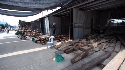 Khu chợ độc đáo này rộng trên 10.000m2, gỗ được mua bán bằng đơn vị kg chứ không không dùng m3. Ảnh: Vietnamnet.