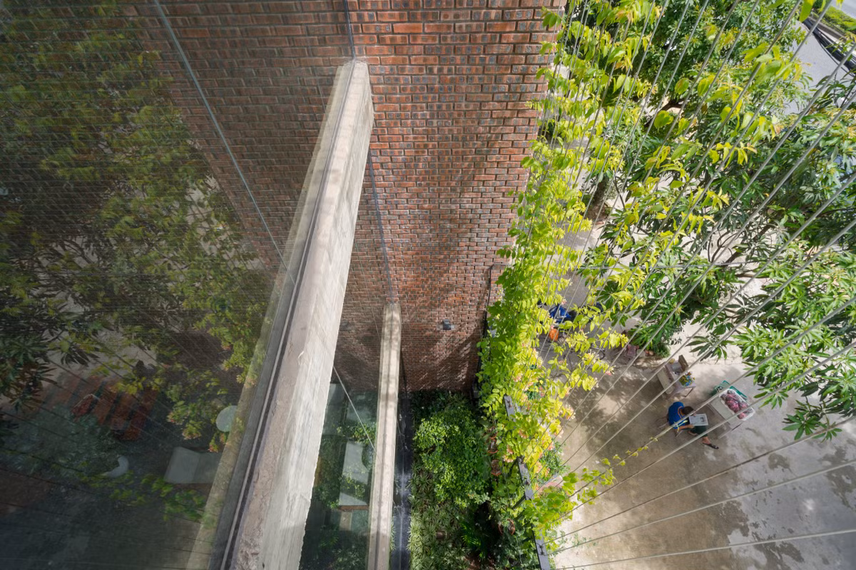 Khoảng trống được thiết kế như một hang động với cỏ cây phủ đầy.