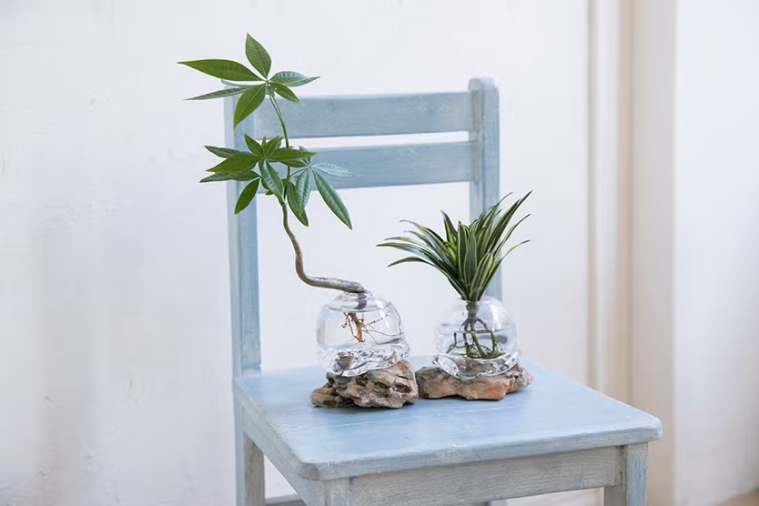 Những viên đá xù xì sẽ tạo điểm nhấn đầy nghệ thuận cho chậu bonsai. Ảnh: Tokyobonsai.