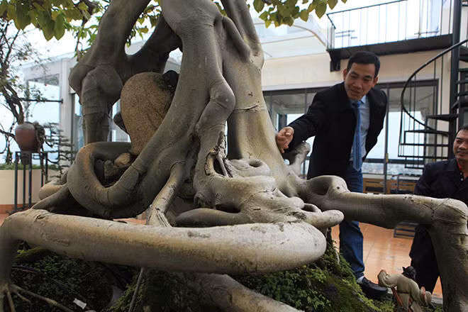 Đáng chú ý là "thân pháp" rất độc đáo, "thân thủ" thì phi phàm tức đường chạy của thân chính uyển chuyển, to mà không thô, nhỏ mà vẫn tạo ra yếu tố hùng vĩ