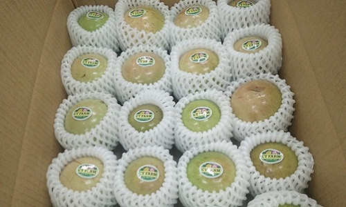 Lô vú sữa xuất khẩu đầu tiên của Việt Nam sẽ khởi hành từ chuyến bay Cathay CX764 tại TP HCM lúc 19h45 phút ngày 26/12 và đến Mỹ lúc 6h05 ngày 27/12. Ảnh: Nông nghiệp.