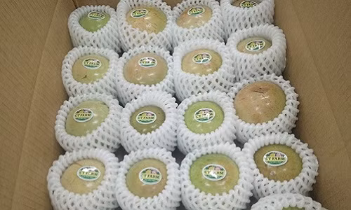 Lô vú sữa xuất khẩu đầu tiên của Việt Nam sẽ khởi hành từ chuyến bay Cathay CX764 tại TP HCM lúc 19h45 phút ngày 26/12 và đến Mỹ lúc 6h05 ngày 27/12. Ảnh: Nông nghiệp.