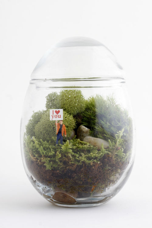 Bình thủy tinh hình quả trứng nhỏ nhắn với cây và hoa bé xíu bên trong là tiểu cảnh phù hợp với những căn hộ nhỏ. Ảnh: Printest.