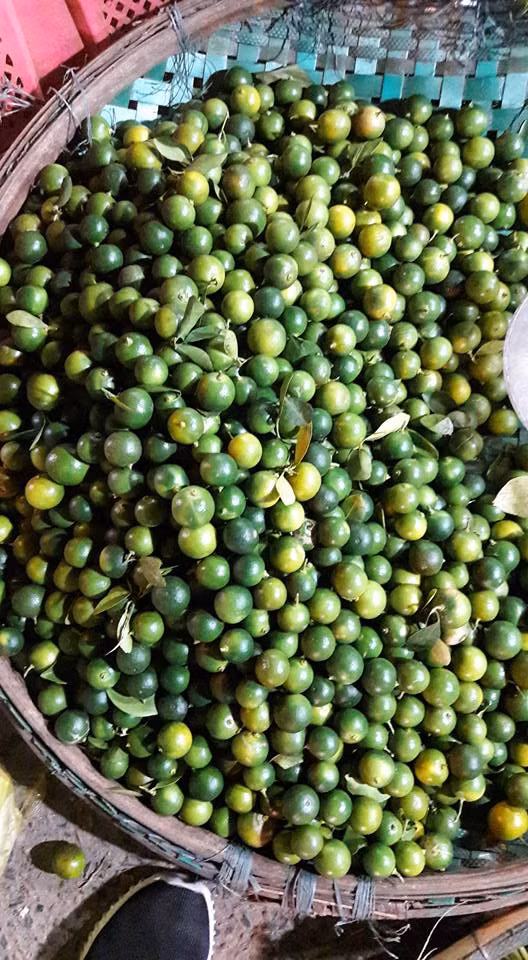 Tình trạng rớt giá trên cho thấy thêm một số nông sản rơi vào hệ lụy cung vượt cầu khi người nông dân chạy theo tâm lý đám đông nên đua nhau trồng. Ảnh: Facebook.