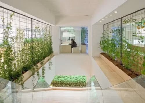 Toàn bộ sản phẩm của nông trại được thu hoạch, sơ chế và phục vụ tại nhà ăn của công ty.