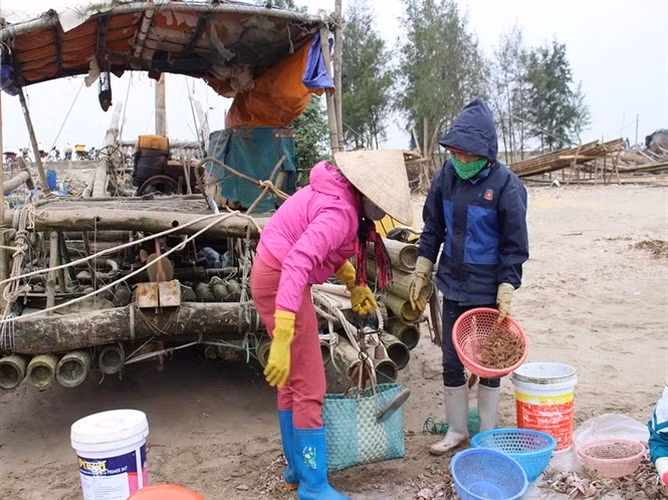 Trên bờ thương lái đã chờ sẵn để tranh nhau mua tôm. (Ảnh: Báo NNVN)