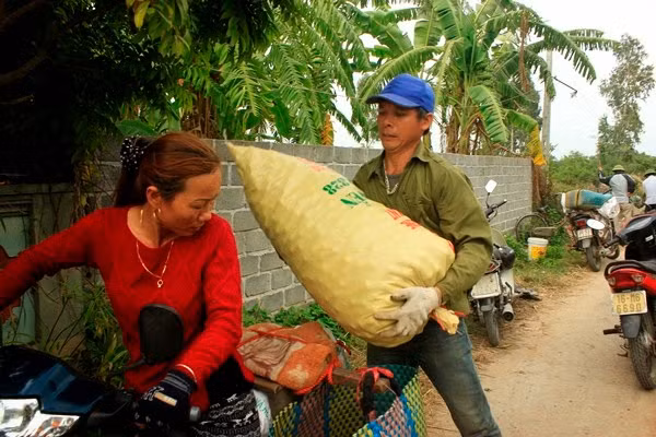 Làng trên xóm dưới nhộn nhịp cảnh thu hái, phân loại, bán mua, vận chuyển táo. Ảnh: Vncgarden.