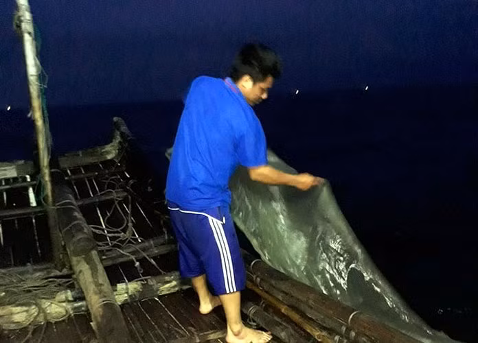 Còn tại vùng biển xã Hoằng Trường, huyện Hoằng Hóa (Thanh Hóa), việc đánh bắt tôm tít khá dễ dàng cũng đem lại nguồn thu nhập cao cho ngư dân. (Ảnh: Báo Dân trí)