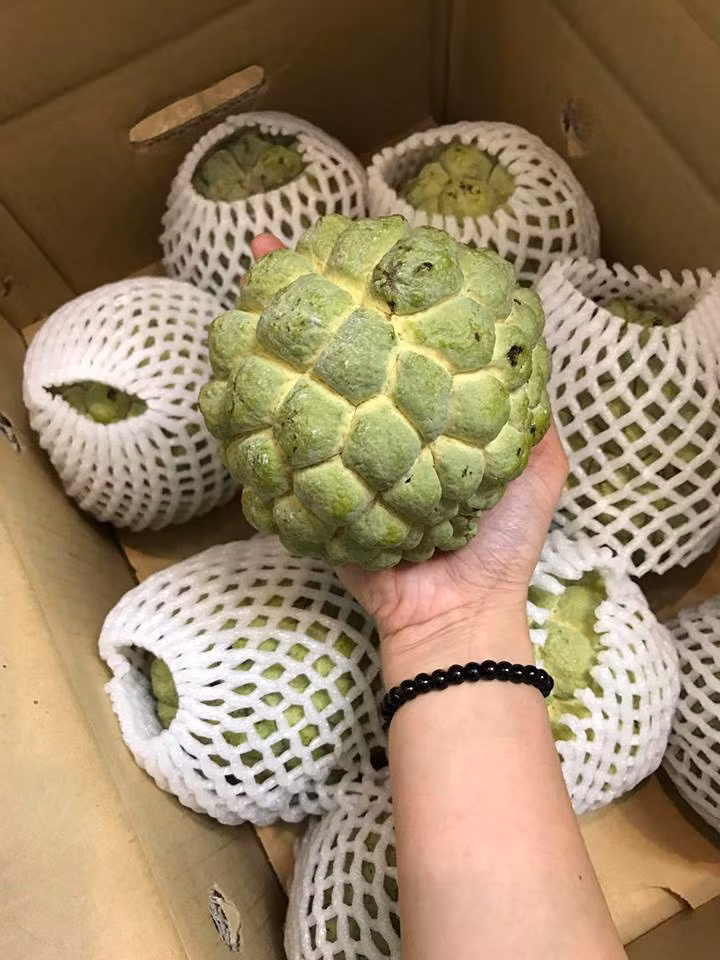  Na Đài Loan có giá bán dao động từ 300.000 - 500.000 đồng/kg tùy thời điểm. Ảnh: Facebook.