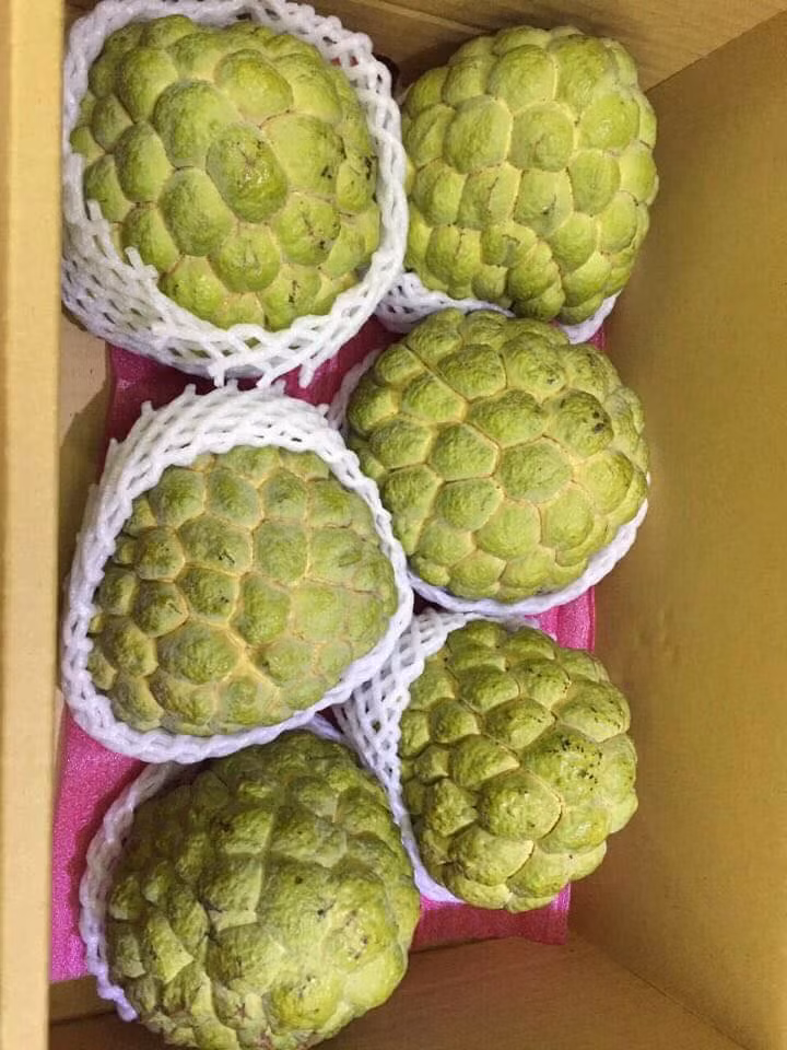 Vỏ na mỏng, màu xanh nhạt, khi chín có màu trắng sữa, thịt nhiều, ít hạt. Ảnh: Facebook.