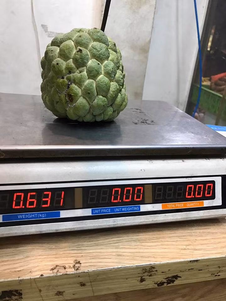 So với nhiều trái cây nhập khẩu khác thì na Đài Loan khó bảo quản hơn, nhưng độ ngon thì hơn hẳn na Việt Nam. Ảnh: Facebook.