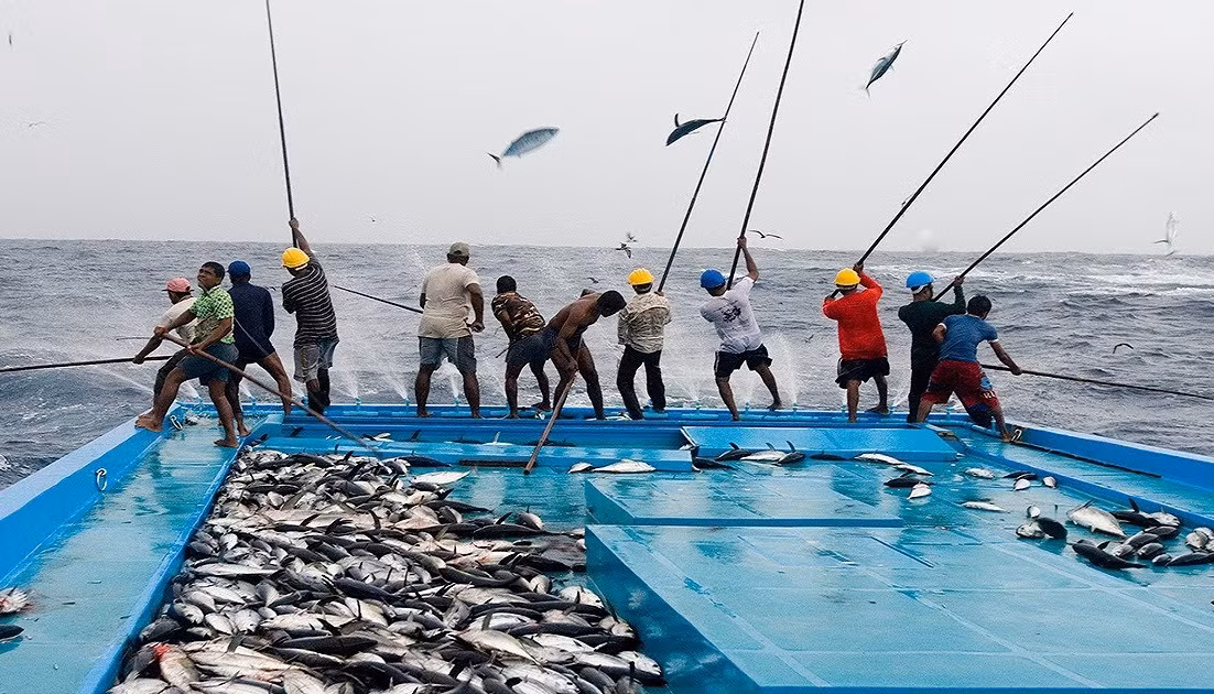 Câu cá ngừ luôn là một công việc nguy hiểm và không thể làm việc độc lập. Ảnh: Youtube.